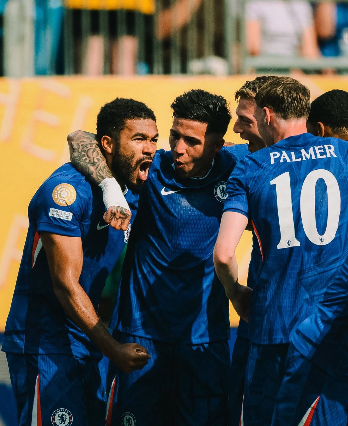Palmeias e Chelsea